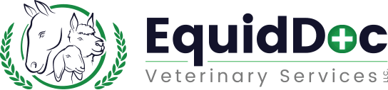 Equidoc : Brand Short Description Type Here.