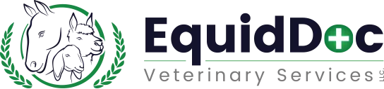 Equidoc : Brand Short Description Type Here.